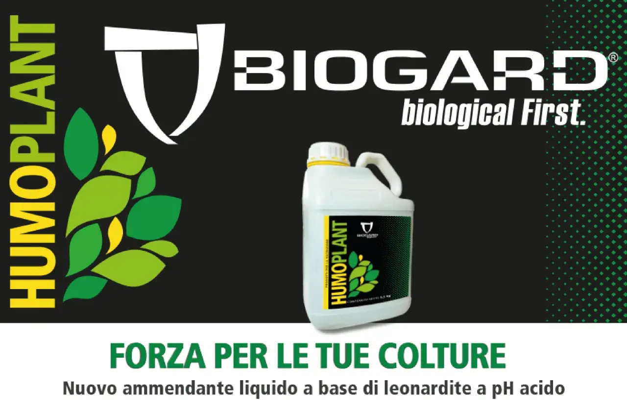 Forza per le tue colture con Humoplant, nuovo ammendante liquido a base di leonardite a pH acido. Dosi ottimali per piante rigogliose.