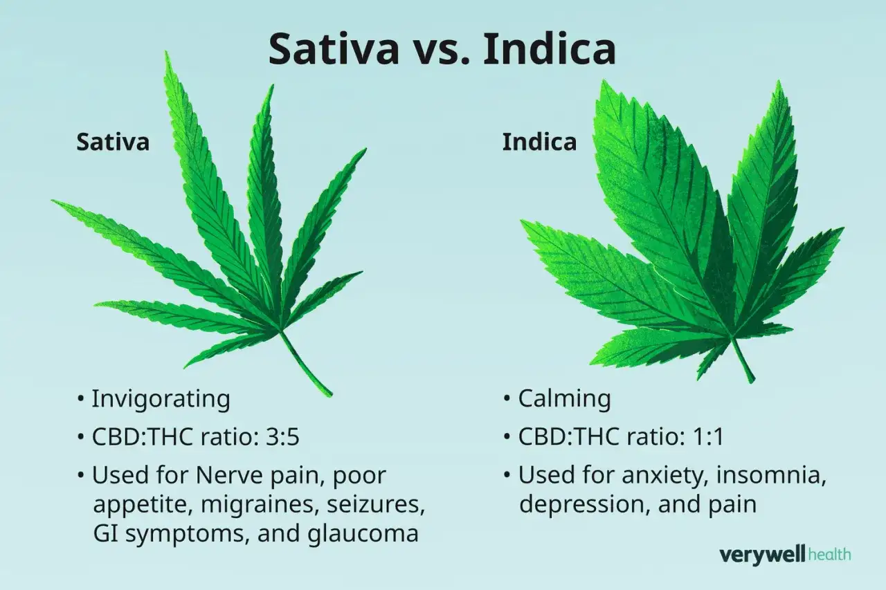 Confronto tra Sativa e Indica: la Sativa è tonificante, l'Indica è calmante. Diverse proporzioni CBD:THC e usi terapeutici.
