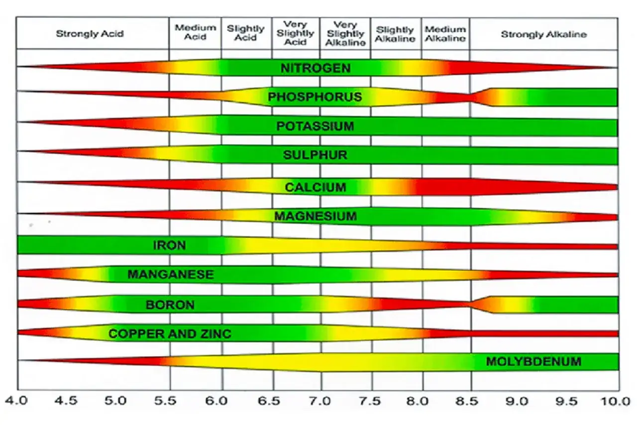 Grafico che mostra la disponibilit&agrave; di elementi minerali in base al pH del suolo, da fortemente acido ad alcalino.
