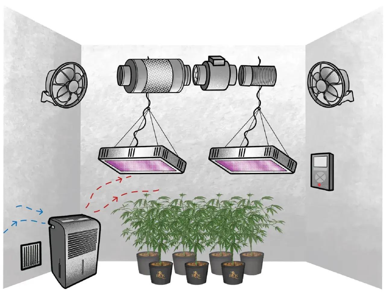 Sistema di coltivazione indoor con luci LED, ventilatori, estrattore e un ozonizzatore per eliminare odori e muffa.