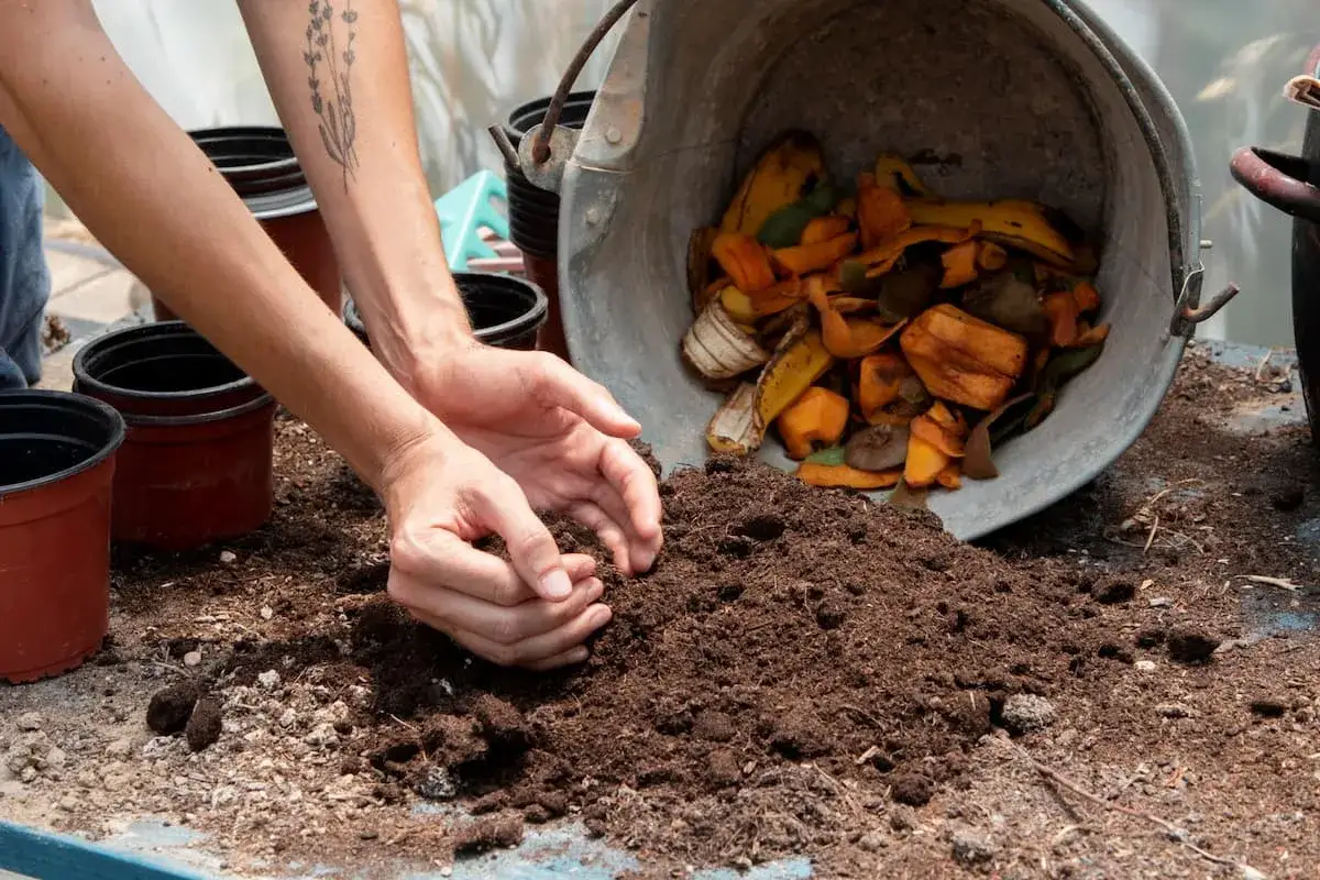 Mani che lavorano la terra, accanto a un secchio rovesciato pieno di scarti di frutta e verdura, per creare fertilizzante naturale fatto in casa.