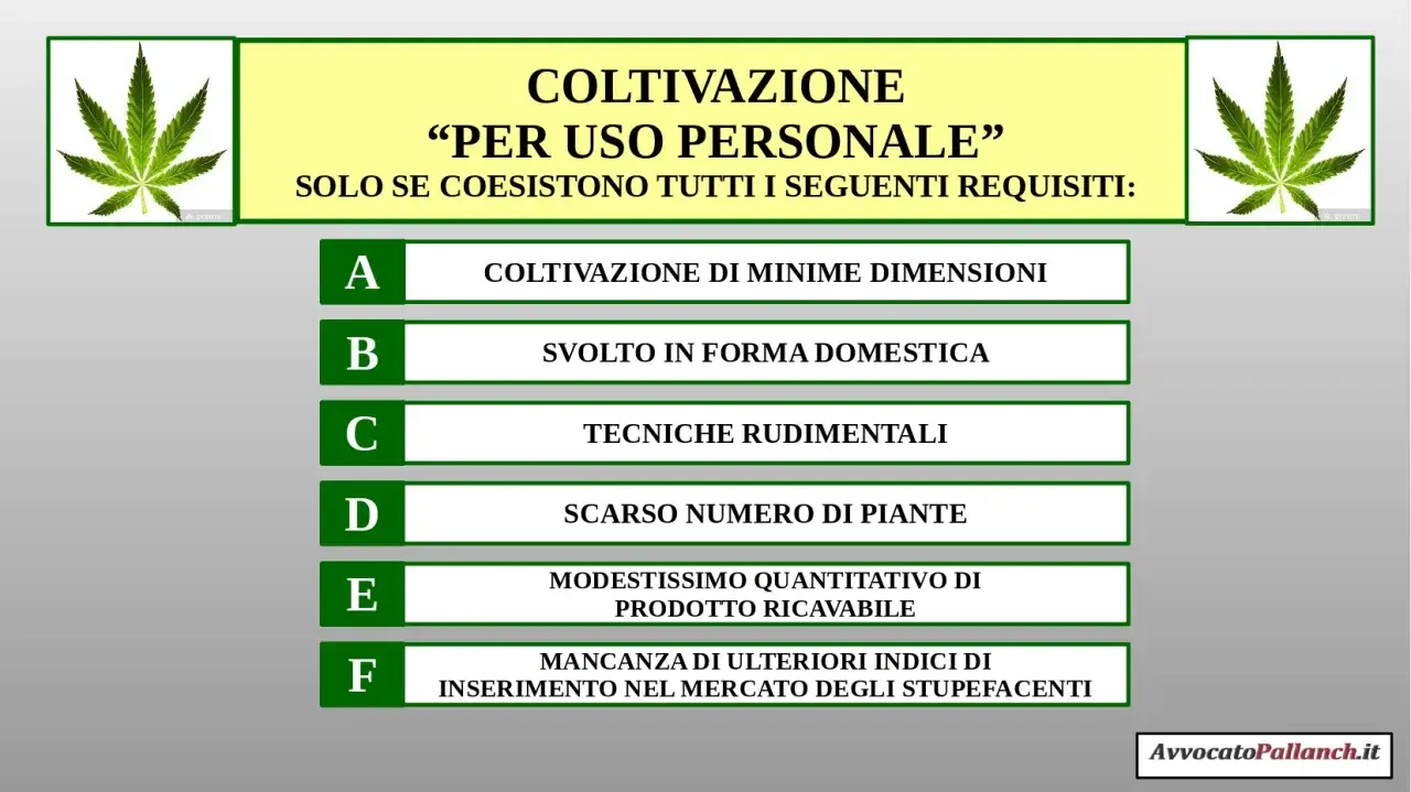 Coltivazione di canapa sativa per uso personale: requisiti di minime dimensioni, forma domestica, tecniche rudimentali, poche piante, scarso raccolto e assenza di indizi di spaccio.