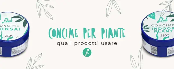 Concimi per piante con elementi minerali essenziali, per bonsai e piante da interno.